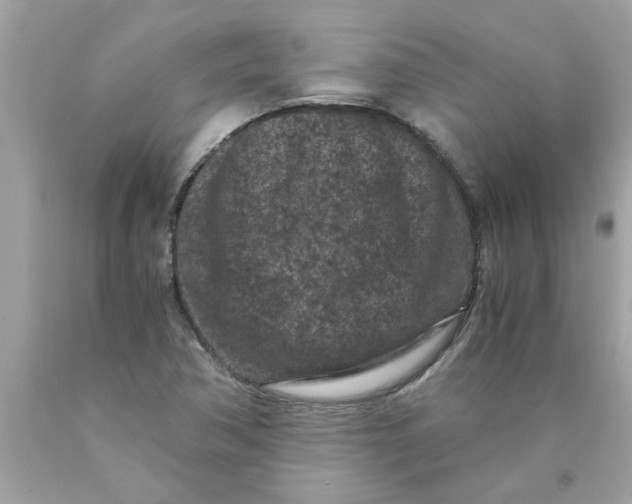 X0000089951362200707201916