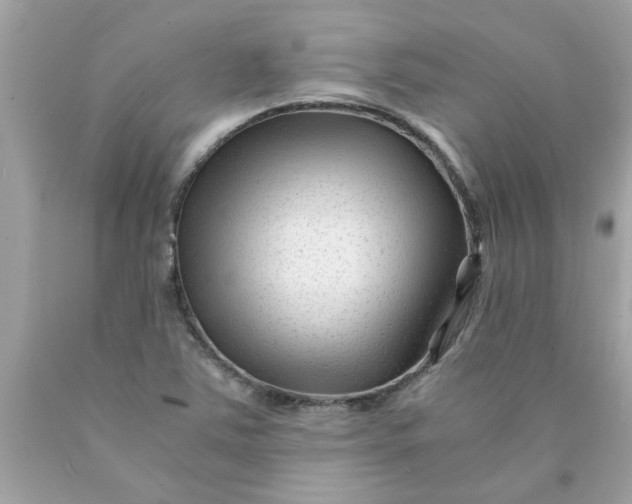 X0000089951363200707201916