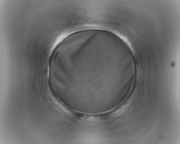 X0000089951365200707201916