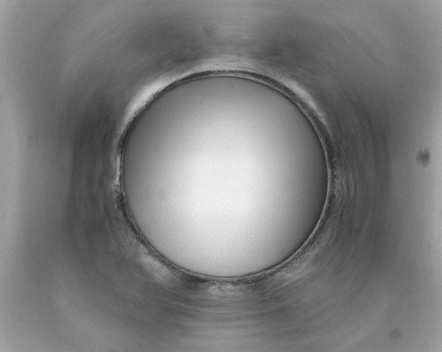 X0000089951366200707201916