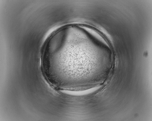 X0000089951368200707201916