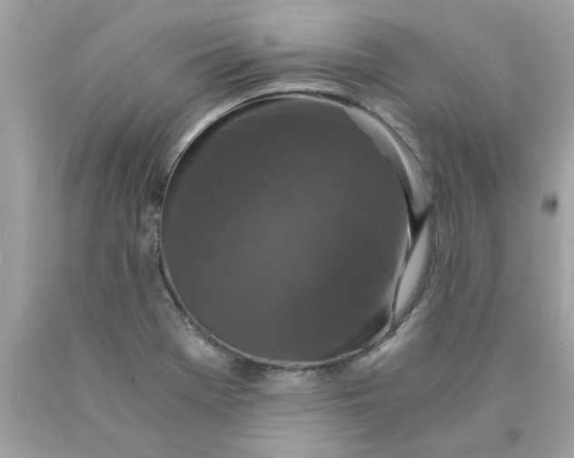 X0000089951369200707201916