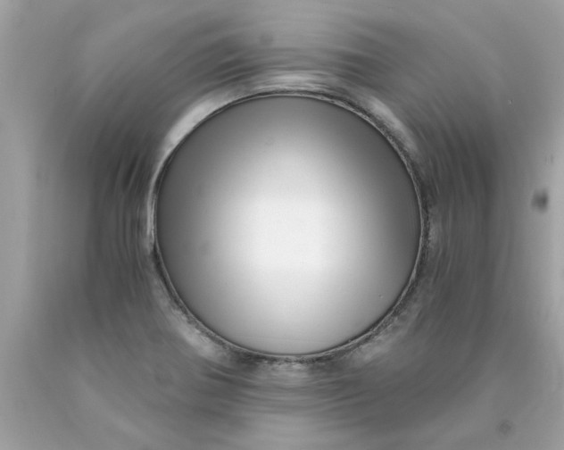 X0000089951370200707201916