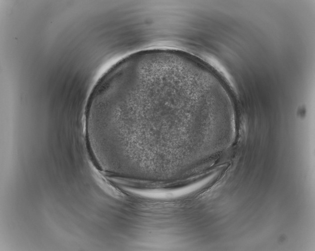 X0000089951372200707201916