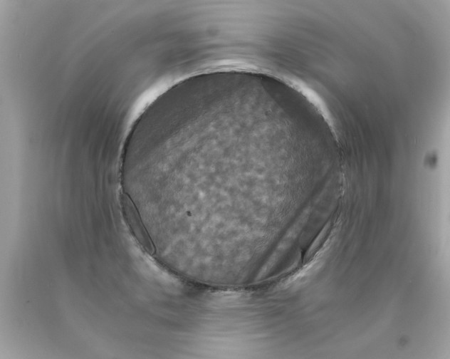 X0000089951373200707201916