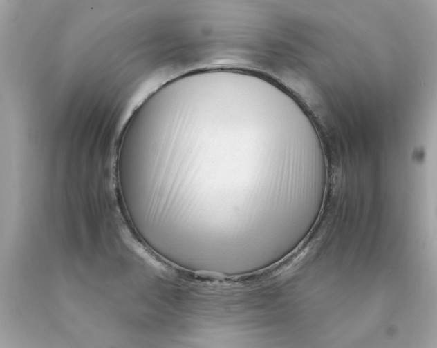 X0000089951374200707201916
