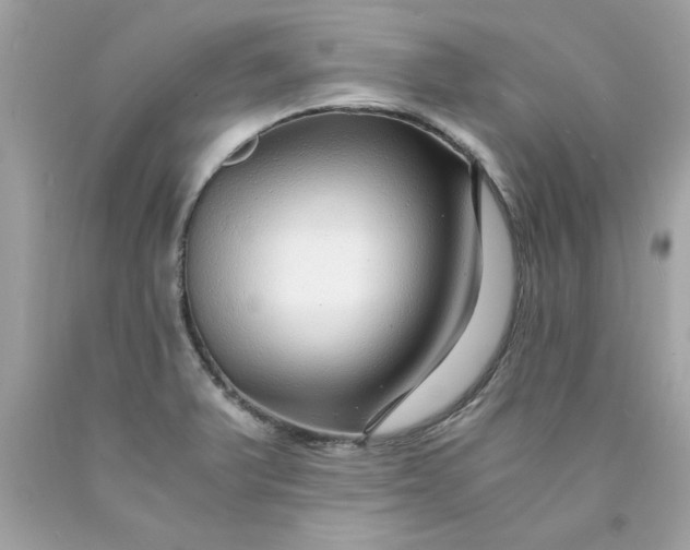 X0000089951375200707201916