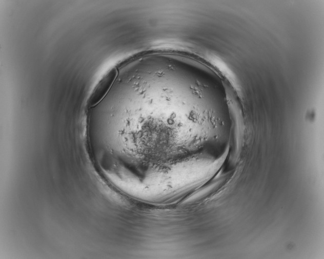 X0000089951376200707201916