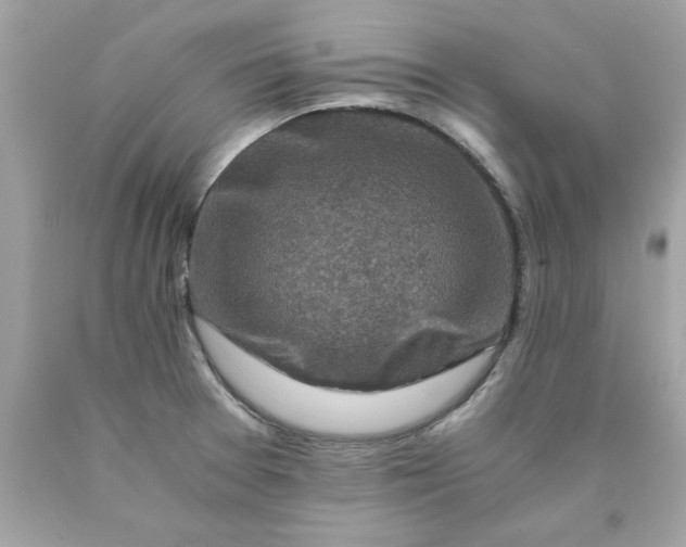 X0000089951377200707201916