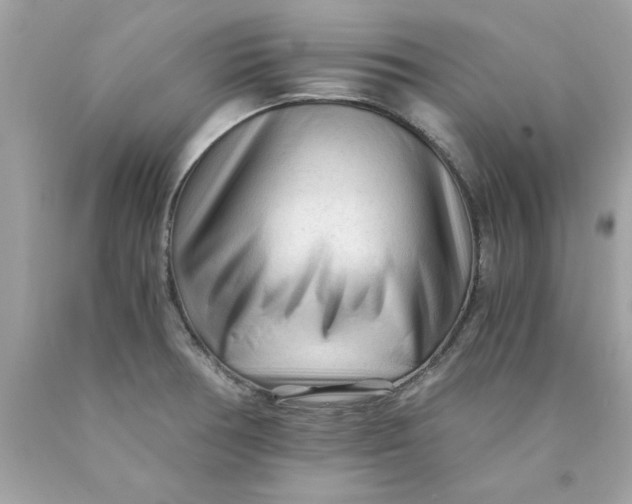 X0000089951378200707201916