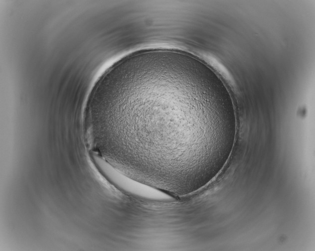 X0000089951380200707201916