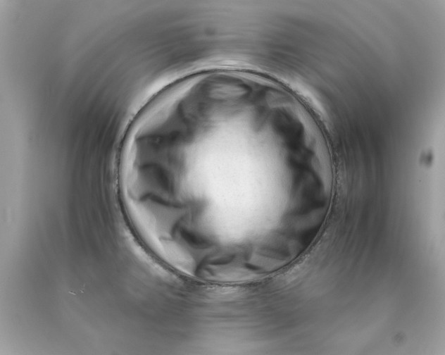 X0000089951382200707201916