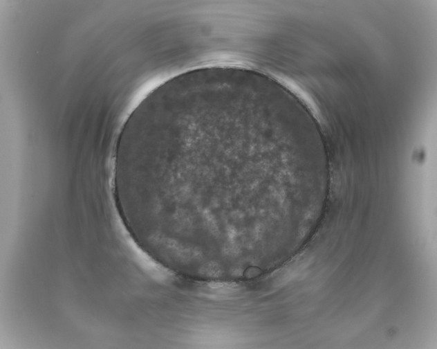 X0000089951383200707201916