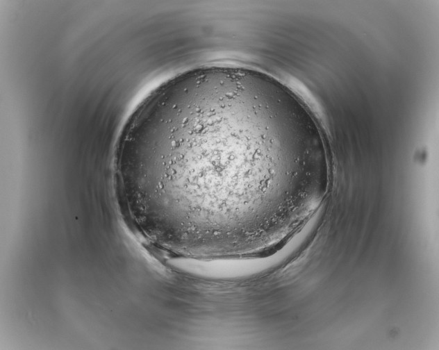 X0000089951384200707201916