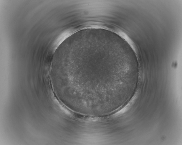 X0000089951385200707201916