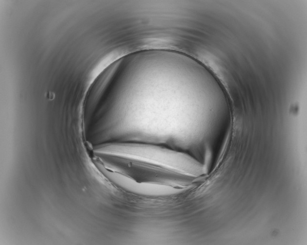 X0000089951386200707201916