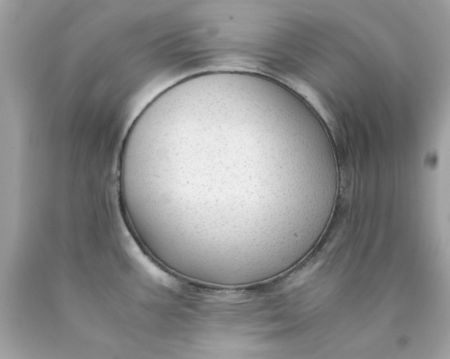X0000089951387200707201916