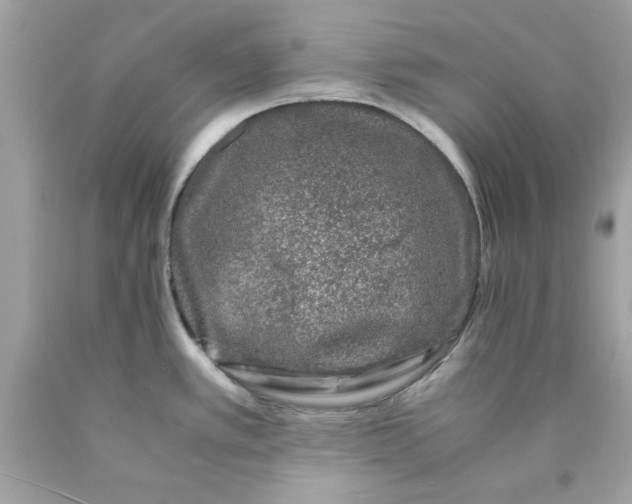 X0000089951389200707201916