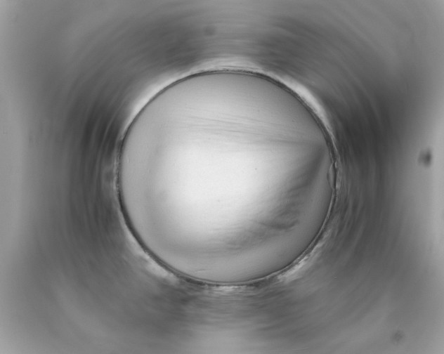 X0000089951390200707201916