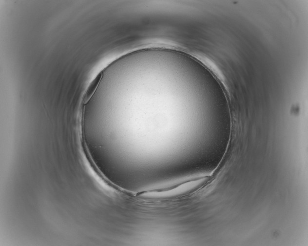 X0000089951391200707201916