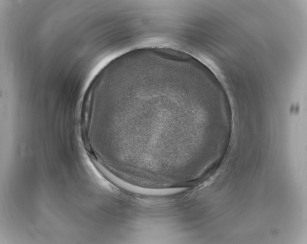 X0000089951392200707201916