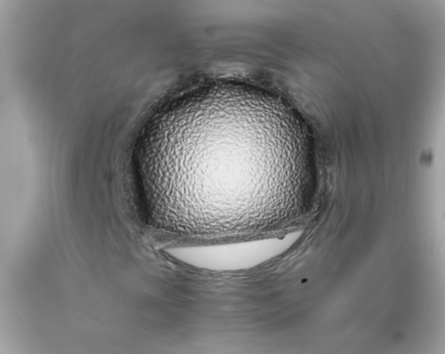 X0000089951393200707201915