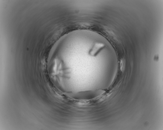 X0000089951395200707201915