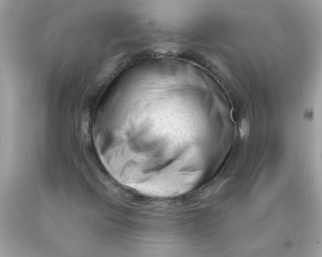 X0000089951396200707201915
