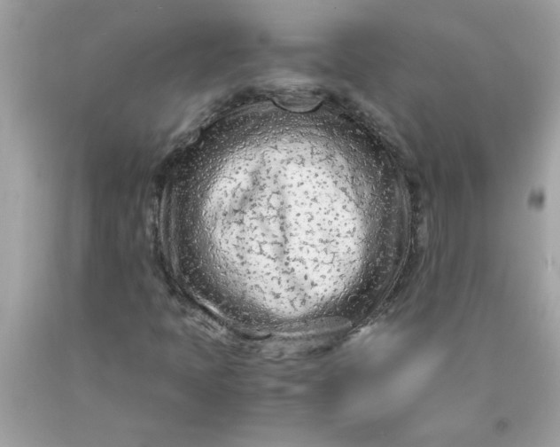 X0000089951397200707201915