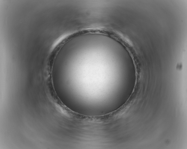 X0000089951400200707201915