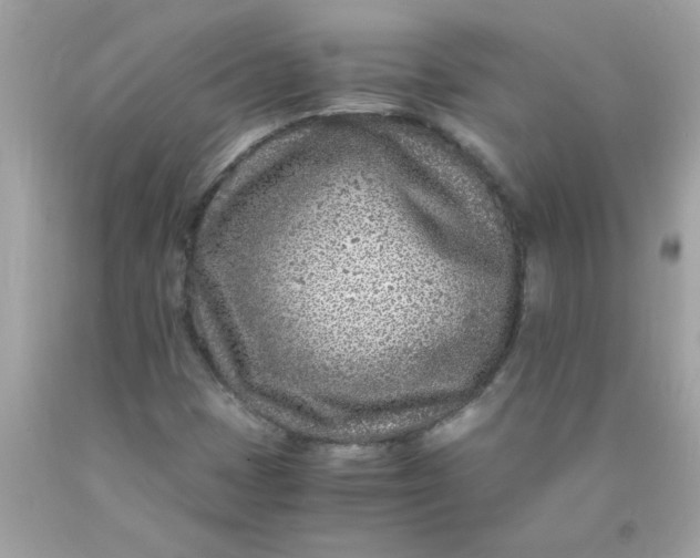 X0000089951401200707201915