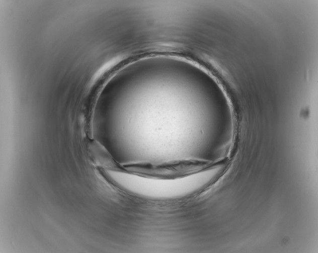 X0000089951402200707201915