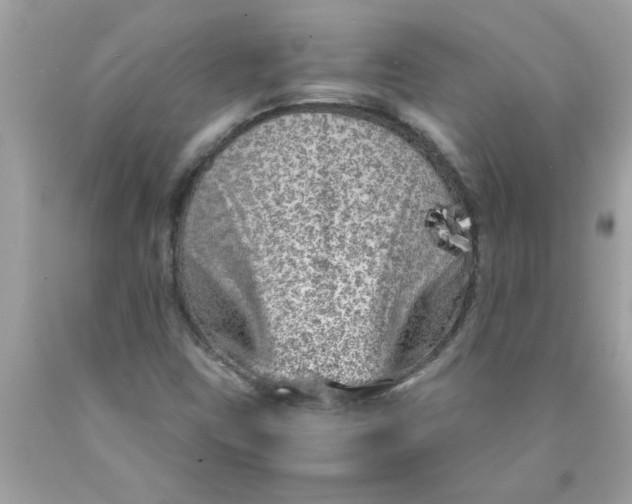 X0000089951403200707201915