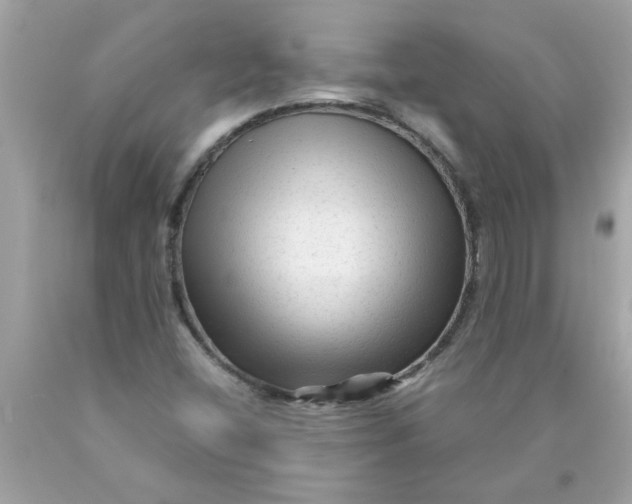 X0000089951404200707201915