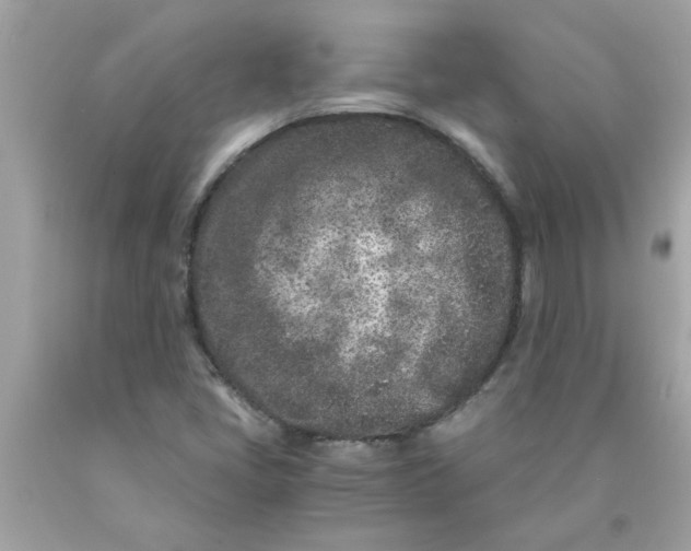 X0000089951405200707201915