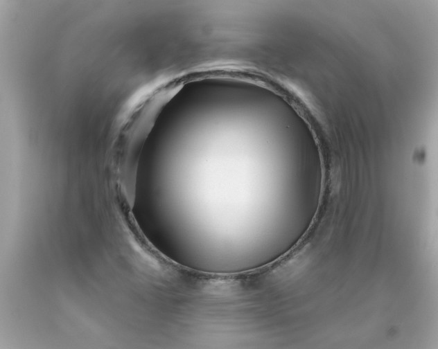 X0000089951406200707201915