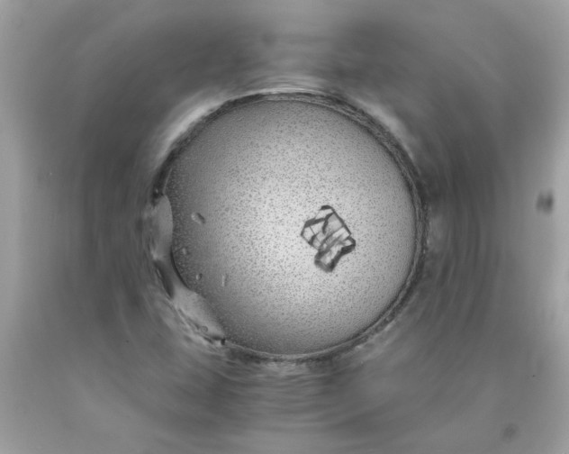 X0000089951407200707201915