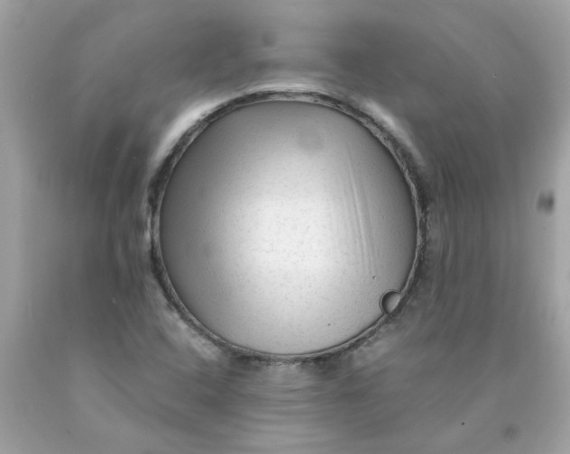 X0000089951408200707201915
