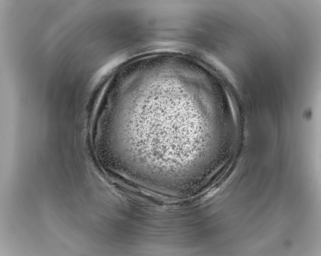 X0000089951411200707201915