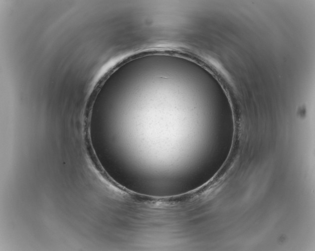 X0000089951412200707201915