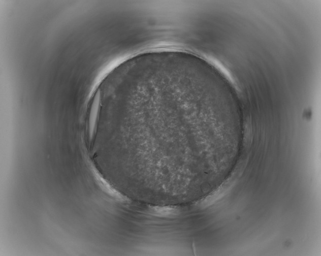 X0000089951413200707201915