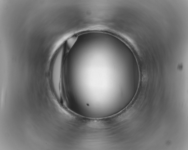 X0000089951414200707201915