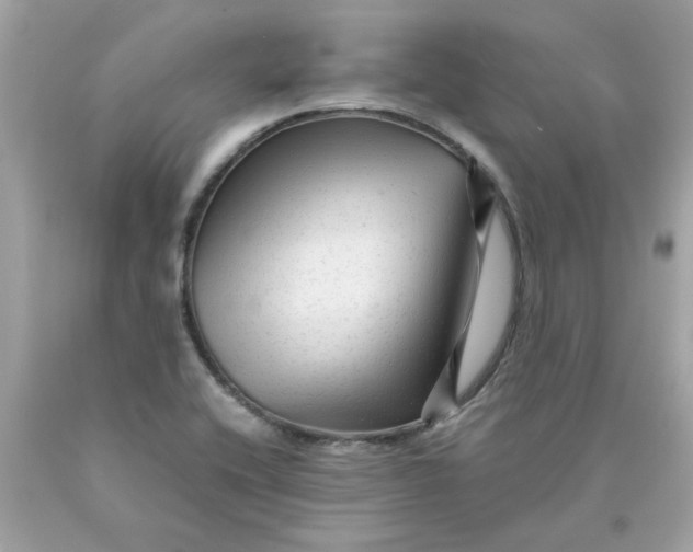 X0000089951416200707201915