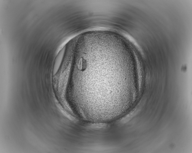 X0000089951417200707201915