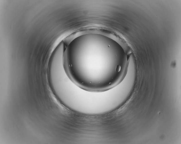 X0000089951418200707201915