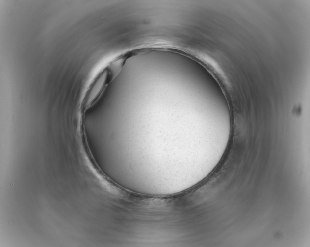 X0000089951424200707201915