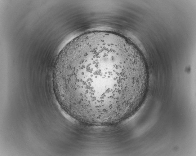 X0000089951425200707201915