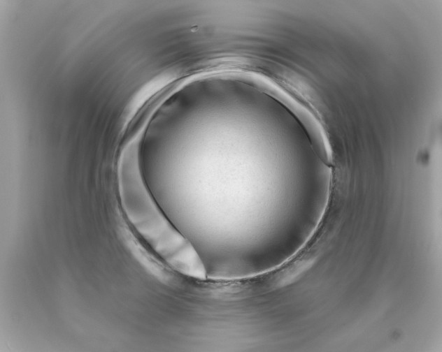 X0000089951426200707201915