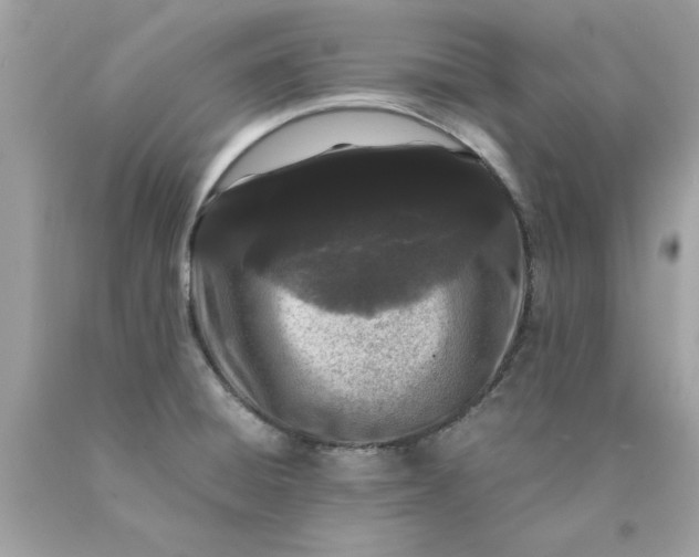 X0000089951428200707201915