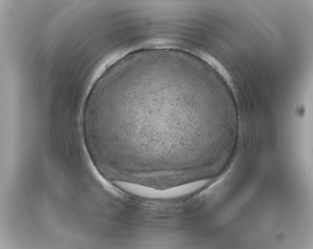 X0000089951429200707201915